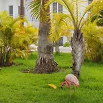 Flamingo Mate