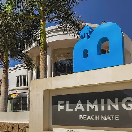 מלון Flamingo Mate 4*