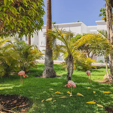 Flamingo Mate מלון