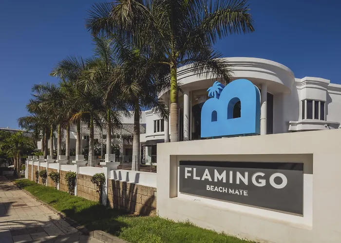 Flamingo Mate Адехе
