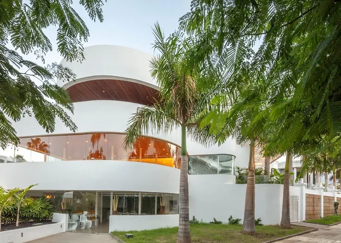 Flamingo Mate Costa Adeje (Tenerife)