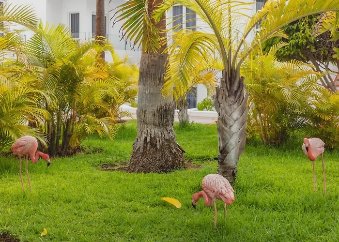 Flamingo Mate