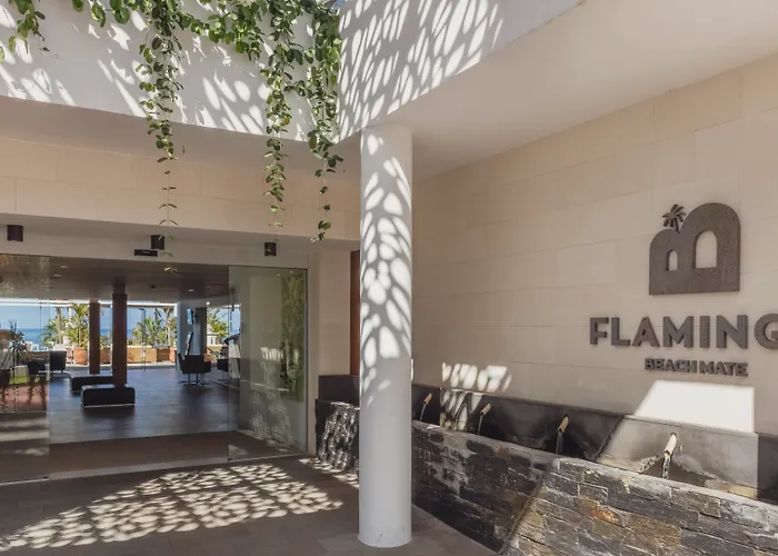 Hotel Flamingo Mate 4*